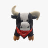 Torito CCh